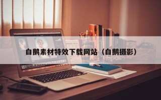 永新白鹅素材特效下载网站（白鹅摄影）